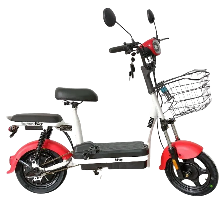 Bike Elétrica Importway